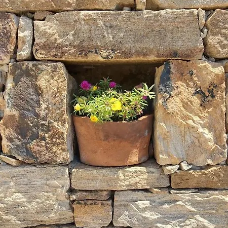 Apartment Countryside I Naxos